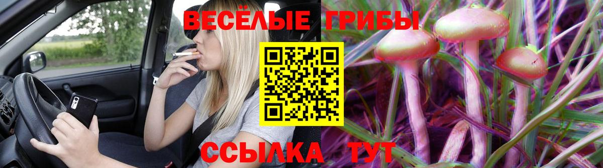 Псилоцибиновые грибы ЛСД  Вход с VPN  Псилоцибиновые грибы Magic Shrooms  Тихорецк 